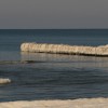 awatar rybkai