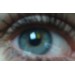 avatar Handzia