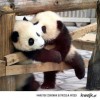 awatar free_hug