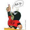 awatar pitR81