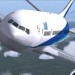 avatar Matt61